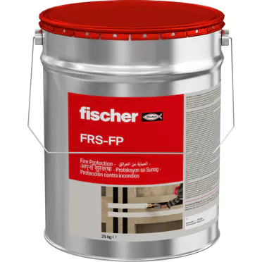 W1_P_P_FRS-FP-CGI_V1